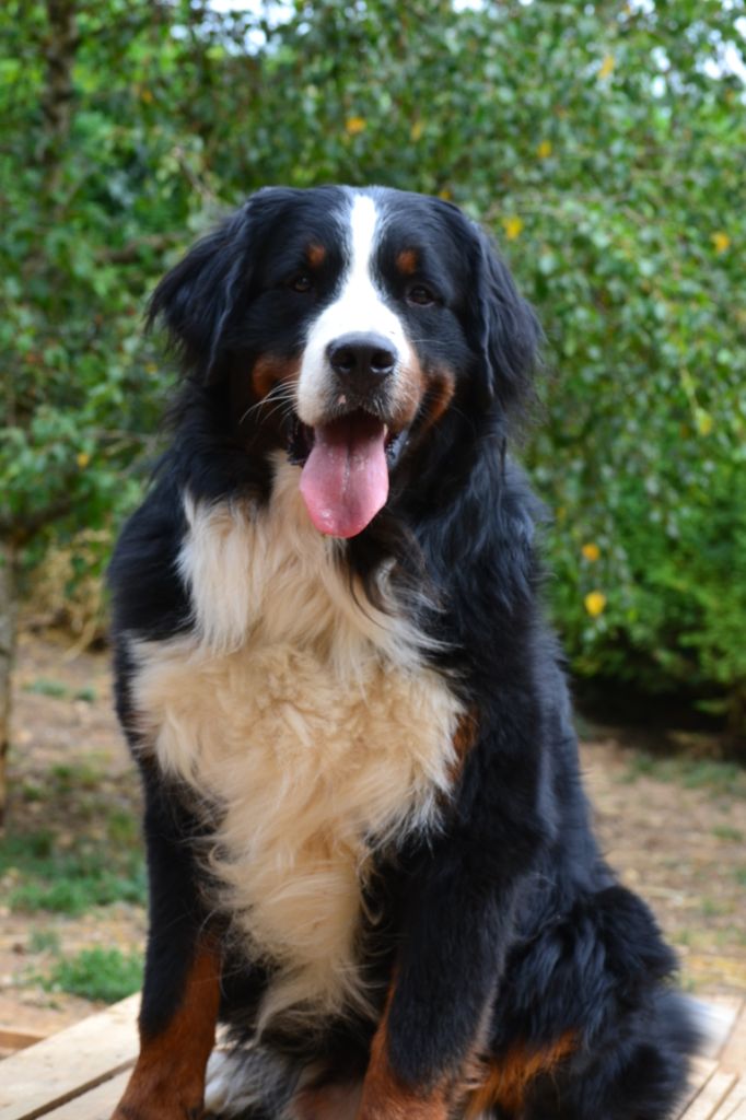 Udson Du Bois Des Crocs Blancs