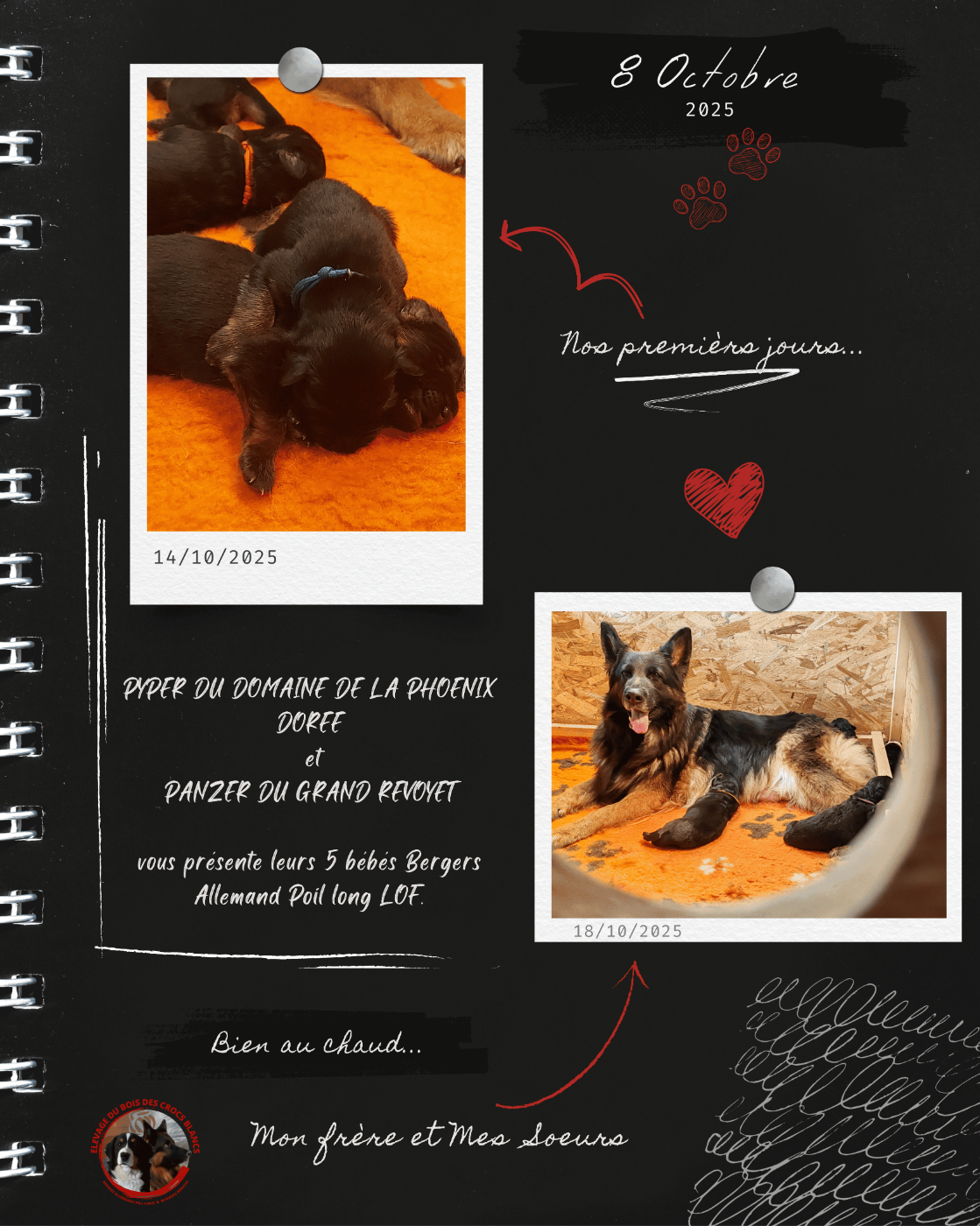 Quoi de neuf à l'élevage ?