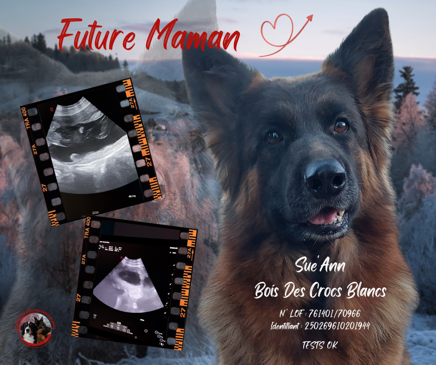 Future Maman